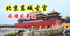 逼逼射水中国北京-东城古宫旅游风景区